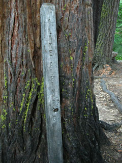 Camp Irene sign post: Lake Alpine 6 miles